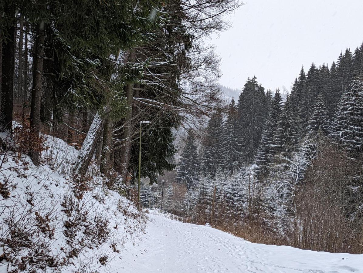 Jasmin Home Vitkovice Bagian luar foto